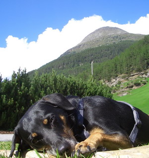 Maja in den Bergen